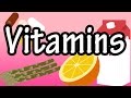 Understanding Vitamins and Nutrients