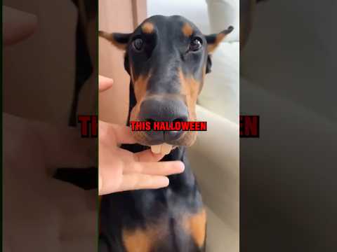 Halloween Party Broke His Heart💔 | #shorts #viralvideo #halloween