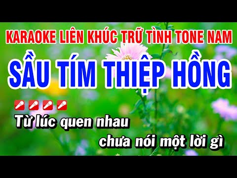 Karaoke Liên Khúc Trữ Tình Tone Nam Nhạc Sống Dễ Hát – Sầu Tím Thiệp Hồng | Hoài Phong Organ