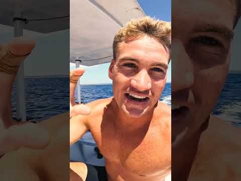 Deadly Fish VS Bare Hands (Blood Warning)