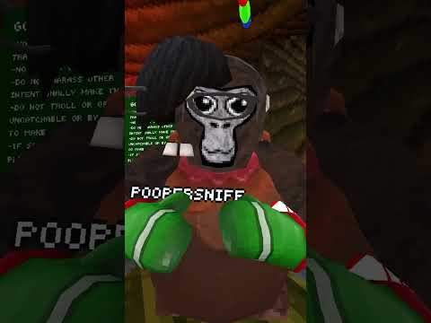 Did I Win This CHALLENGE?!? #gorillatag #vr #gtag #shorts