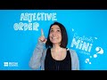 Adjective Order and Usage
