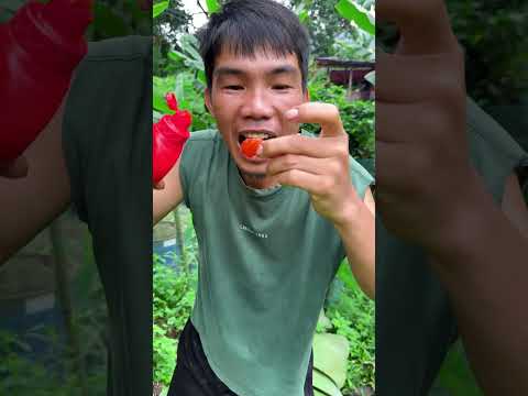 Worms in bananas combined with Coca-Cola create a truly wonderful SHASHIMI dish. #short