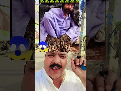 #comedymove #comedy #ptiofficial #comedymovies #funny #ptiworkers #funnycomedy #india #pti #ptioffic