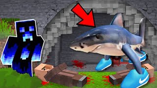 Objevil jsem TRALALERO TRALALA 🐳