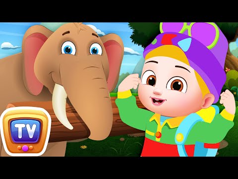 Baby Taku's World - Strongest Animals Song - ChuChu TV Sing-along Nursery Rhymes