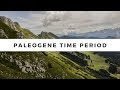 Paleogene Period Overview