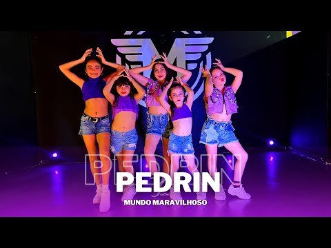 PEDRIN🧔🏻‍♂️• PEDRO SAMPAIO & DJ TOPO • COREOGRAFÍA • MUNDO MARAVILHOSO • AXÉ• BRASIL