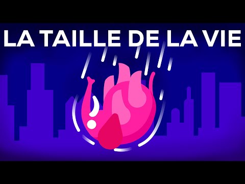 Que se passe-t-il si l'on jette un éléphant du haut d'un gratte-ciel ? Vie et taille 1