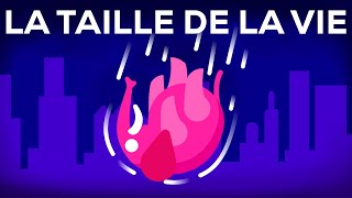 Que se passe-t-il si l'on jette un éléphant du haut d'un gratte-ciel ? Vie et taille 1
