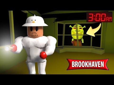 Abbiamo scoperto NUOVI SEGRETI alle 3AM su BROOKHAVEN ROBLOX!