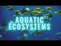 Aquatic Ecosystems and Their Characteristics