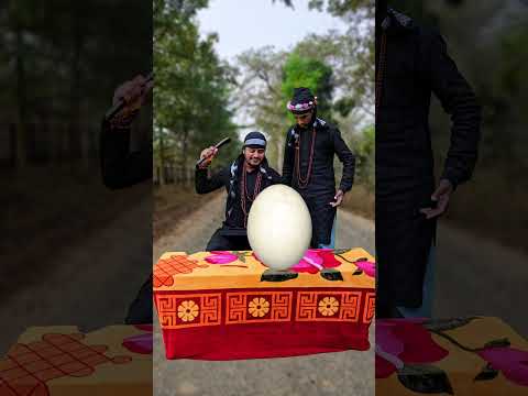 नागिन🐍और जंगल के अंडे🥚|| Mr Baklol Team || #shorts #shortsfeed