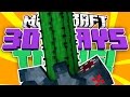 Challenges and Activities in Game Levels