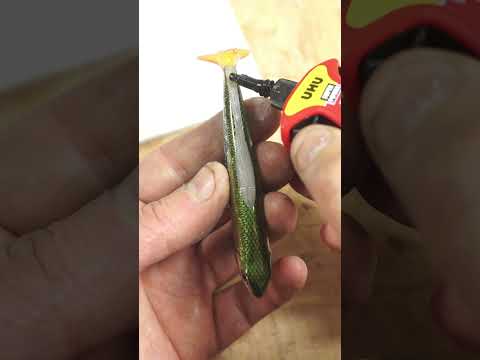 can you turn a hard lure into a soft lure? #fishing #fishinglife #lurefishing