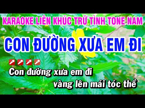 Karaoke Liên Khúc Trữ Tình Tone Nam Nhạc Sống Dễ Hát – Con Đường Xưa Em Đi | Hoài Phong Organ