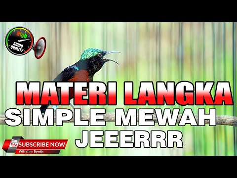 MASTERAN KONIN LAGU SANTAI LANGKA TAPI MEWAH VARIASI PALING ENAK COCOK UNTUK MASTERAN KOLIBRI NINJA