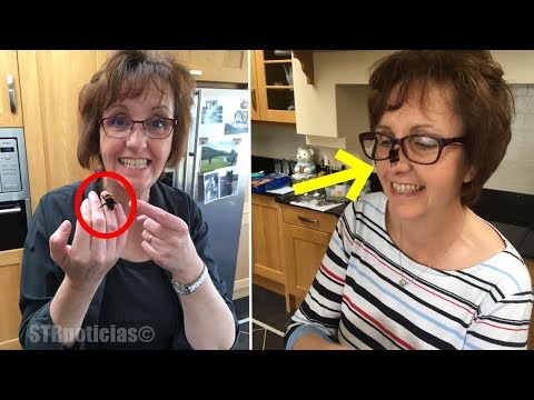 Esta mujer rescató a una abeja reina y ahora, son las mejores amigas.