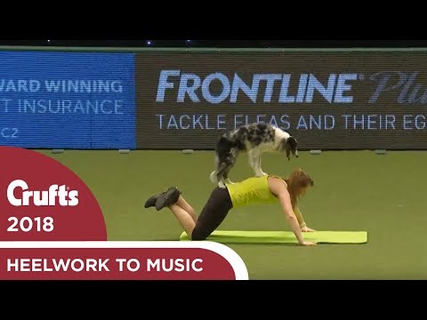 Dog gets a workout during Heelwork to Music | Crufts 2018