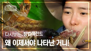 [정법레전드🏆] 다시는 놓치지 않을 거예요! [정글의법칙 | SBS 150410방송]
