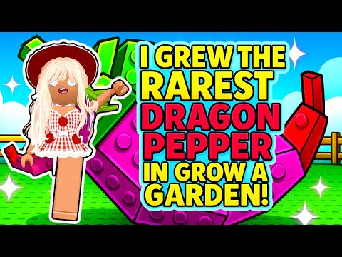 I Grew The RAREST Dragon Pepper in Grow a Garden!