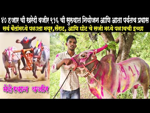 शून्यातून सुरू केले होते आज बैल एक नंबर मध्ये पळतोय | 40 हजार ची खरेदी वजीर 916 | बैलगाडा शर्यत
