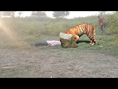 🐯 TIGER 🐅 ATTACK | SUPER2HERO