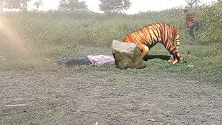 🐯 TIGER 🐅 ATTACK | SUPER2HERO