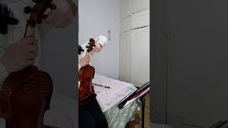 vuelvo a retomar el violín tras un año sin tocar #violinista #comenzardenuevo
