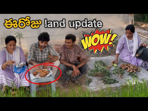 ఈరోజు ల్యాండ్ update #farmland #food #yummy #youtube