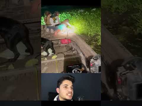 شوفو شو سووا