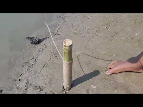 New Best Hook Fishing Video | Traditional Boy Hunting Big Fish With Hook By River #fishing