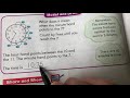 Telling Time and Clock Concepts