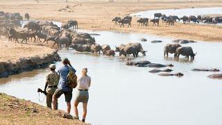 Shenton Safaris' Activities