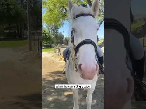 When they say riding is easy