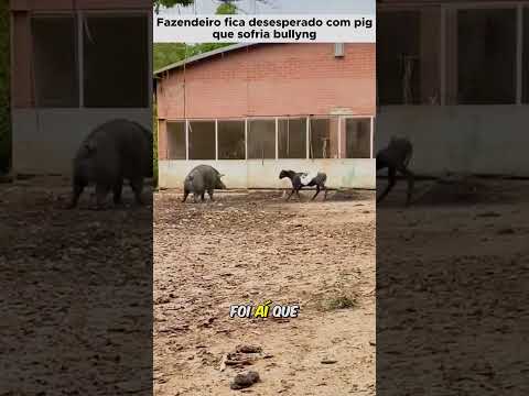 Animais unidos não ... | Tccontos #shorts #animais #vidaanimal #animaisselvagens