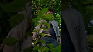 The Calm Before The Storm | The Island with Bear Grylls