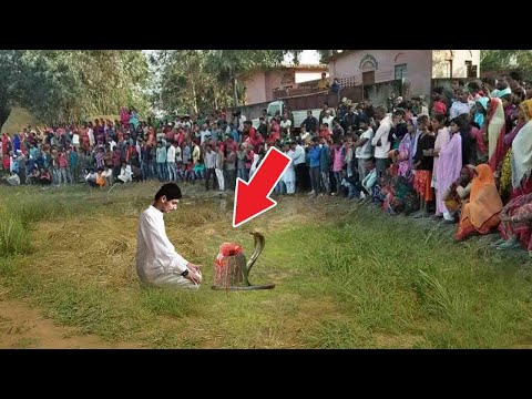 जब महा शिवरात्रि पर एक नास्तिक व्यक्ति  ने शिवलिंग पर चढ़ाया मांस का टुकड़ा ,फिर  लोगो के होश उड़ गए
