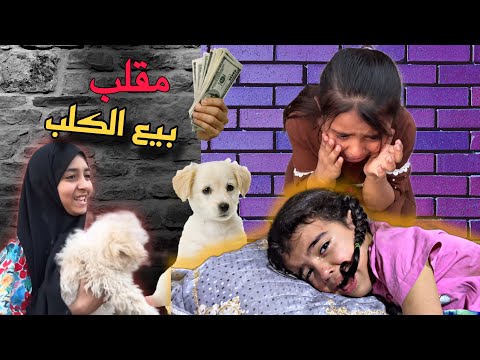 بعت الكلب مالهن شوف شصار بيهن خطيه