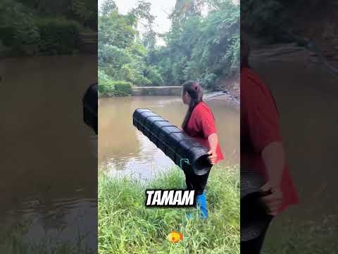 🐓🥤🐟 Cola ile Balık Avlama Yöntemi