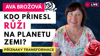 🌹 KULT RŮŽE 🌹✨ a mystické ženství 🌙💖 AVA BROŽOVÁ 🌟 Příznaky transformace ✨🦋 – osobní rozvoj 🌺 #zeny