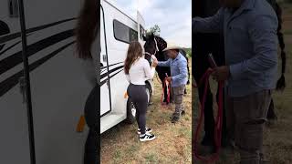 Vendió el caballo frizon ,a escondidas de su marido! Esto se descontroló 😬😁