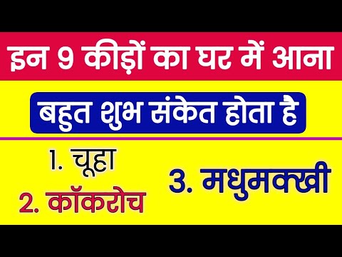 इन 9 कीड़ों का घर में आना बहुत शुभ संकेत होता है | Vastu Tips | Vastu Shastra