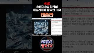 [테슬라분석] 네덜란드발 규제 해제와 사이버캡 양산 소식 | 18개월 안에 합병 가능성 및 테슬라 FSD 유럽 승인 확정적