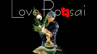 How to bend a bonsai - great bonsai bending skills #255