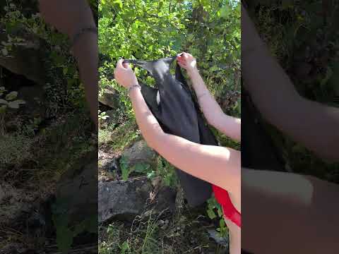 GIRL Figured Out How to Clean Water in the Forest!๐ณ๐ฆ