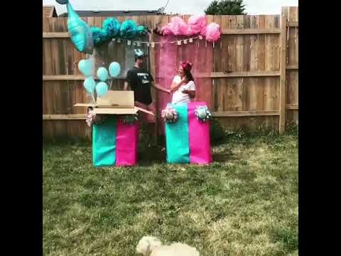 Twins baby Gender Reveal