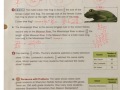 Fraction and Multiplication Concepts
