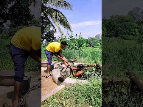 कुआँ में गीर गया 😭#minivlog #dailyminivlog #minivlogseries #tranding #vlogs #shortsvlog #villagevlog