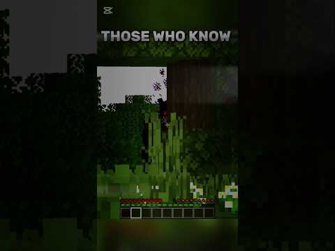 PROBOIZ HORROR MOMENT IN MINECRAFT